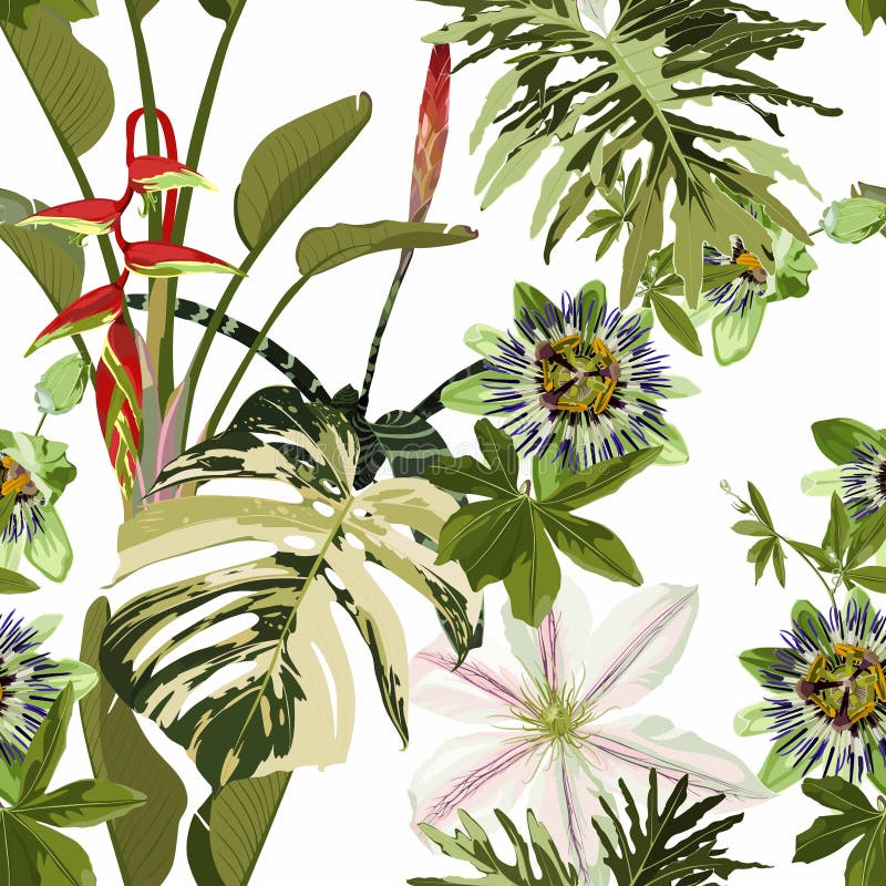 Skarvlös, skarvlös bakgrundsmönster för årgång. vacker exottroll med monstera blad på vit bakgrund.