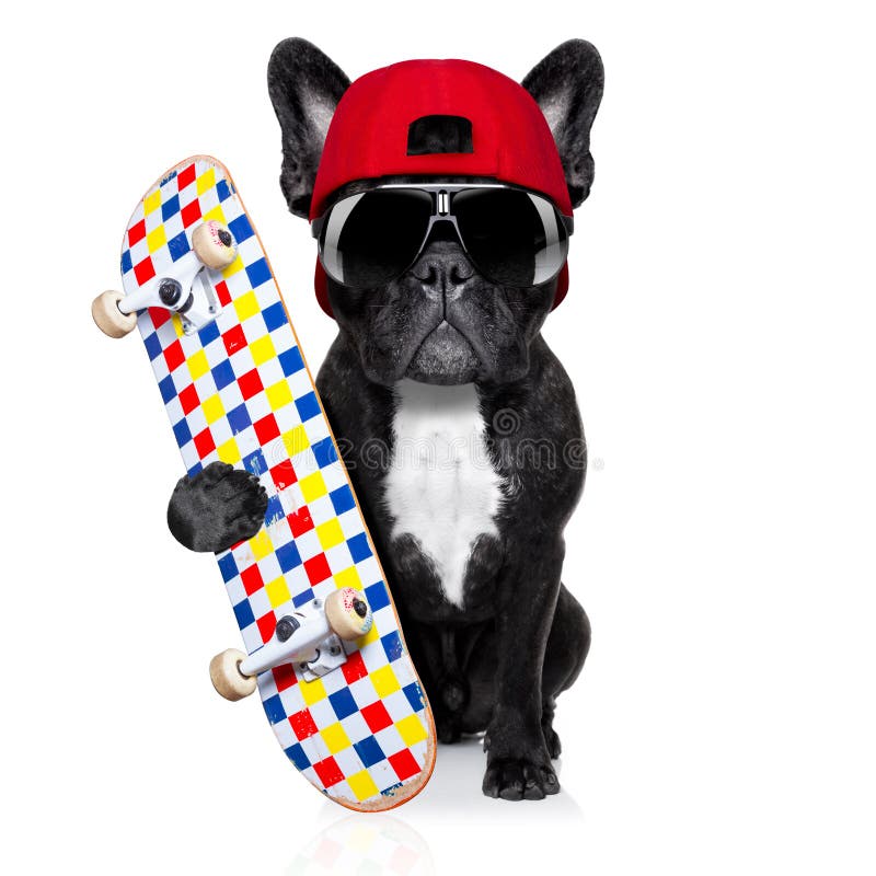 Skateboardschlittschuhläuferhund