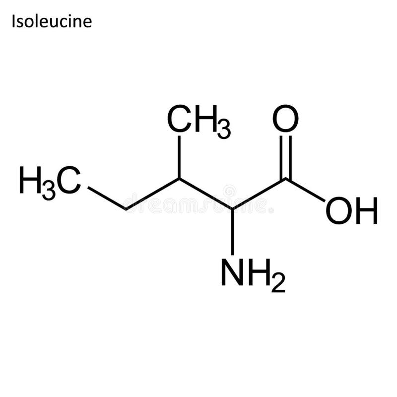 Skeletachtige formule van Isoleucine vector illustratie