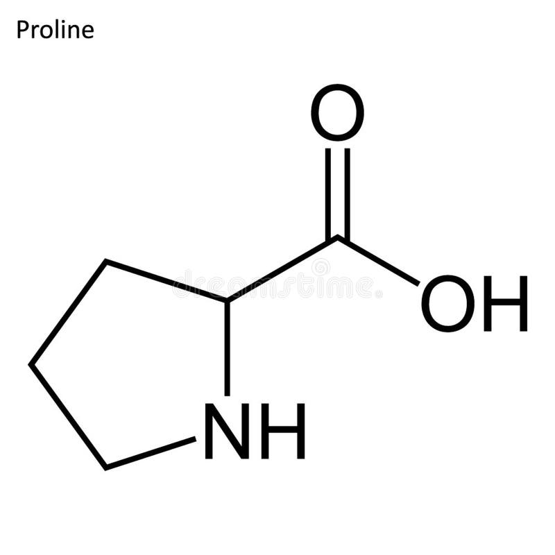 Skeletachtige formule van Proline stock illustratie