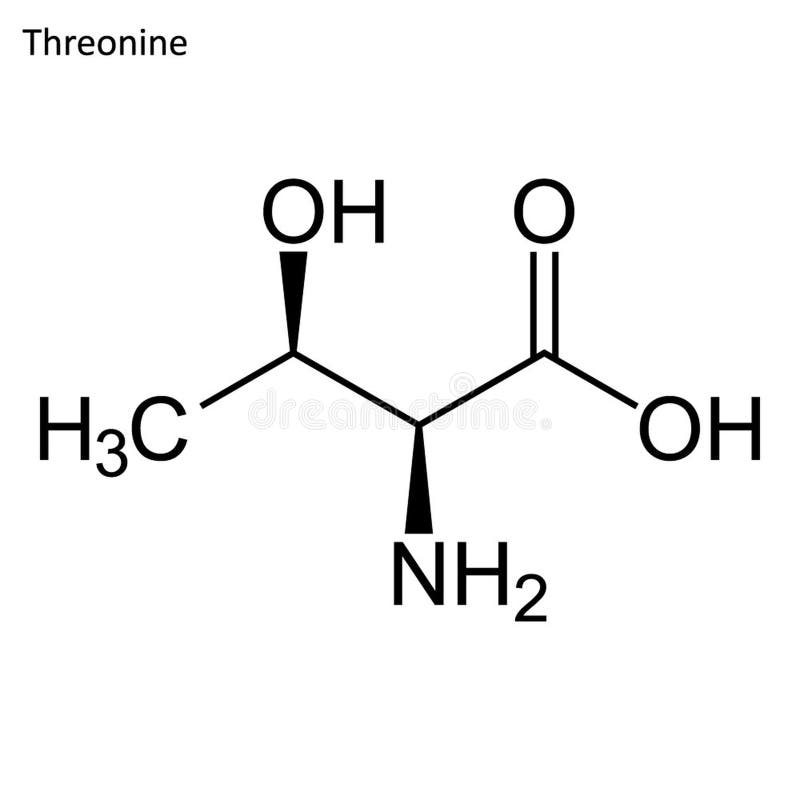 Skeletachtige formule van Threonine royalty-vrije illustratie