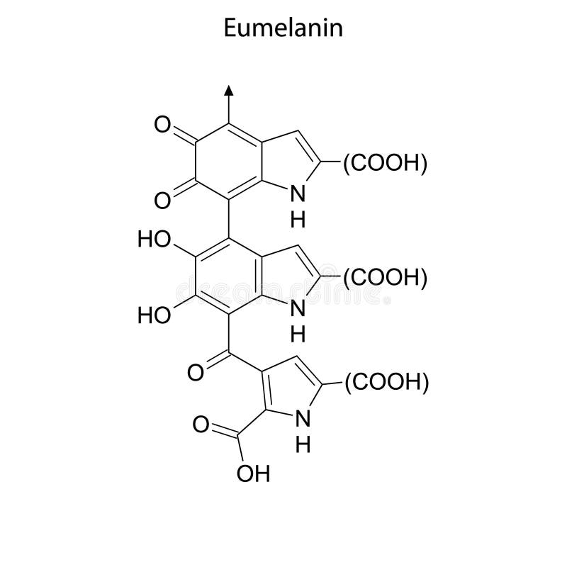 Melanin Molecule With Chemical Formula Stock Illustration ...