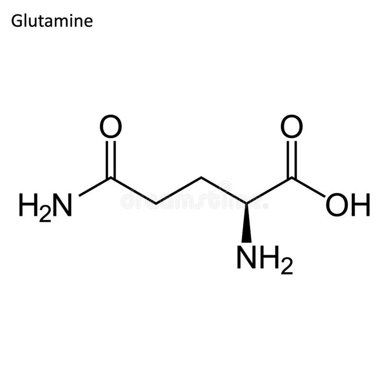 Skeletal Formula of Glutamine Stock Illustration Illustration of