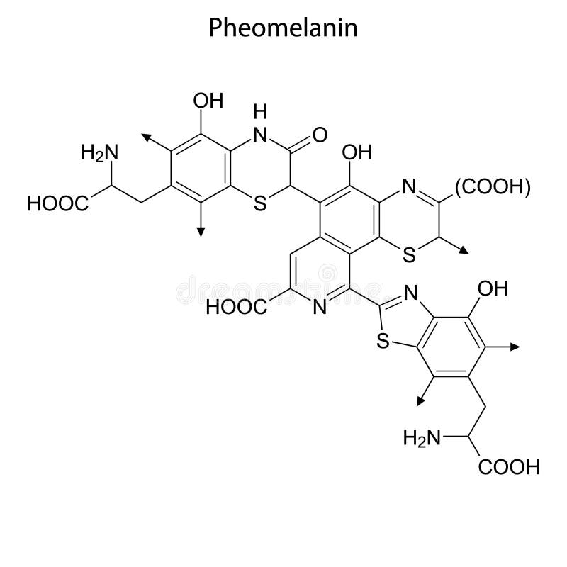 Structuurformule van een chemisch element royalty-vrije illustratie