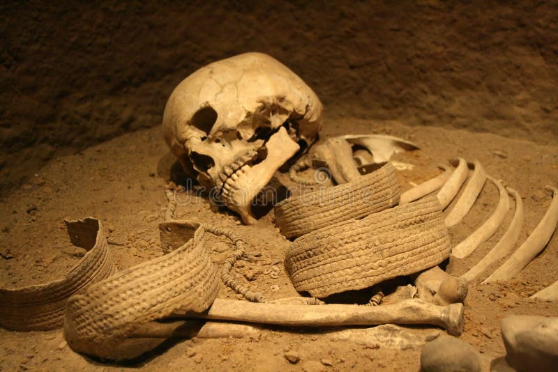Skeleton stock photo