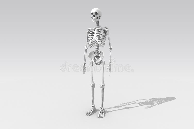 19,300+ Skeleton Poses Stock Photos, Pictures & Royalty-Free Images - iStock