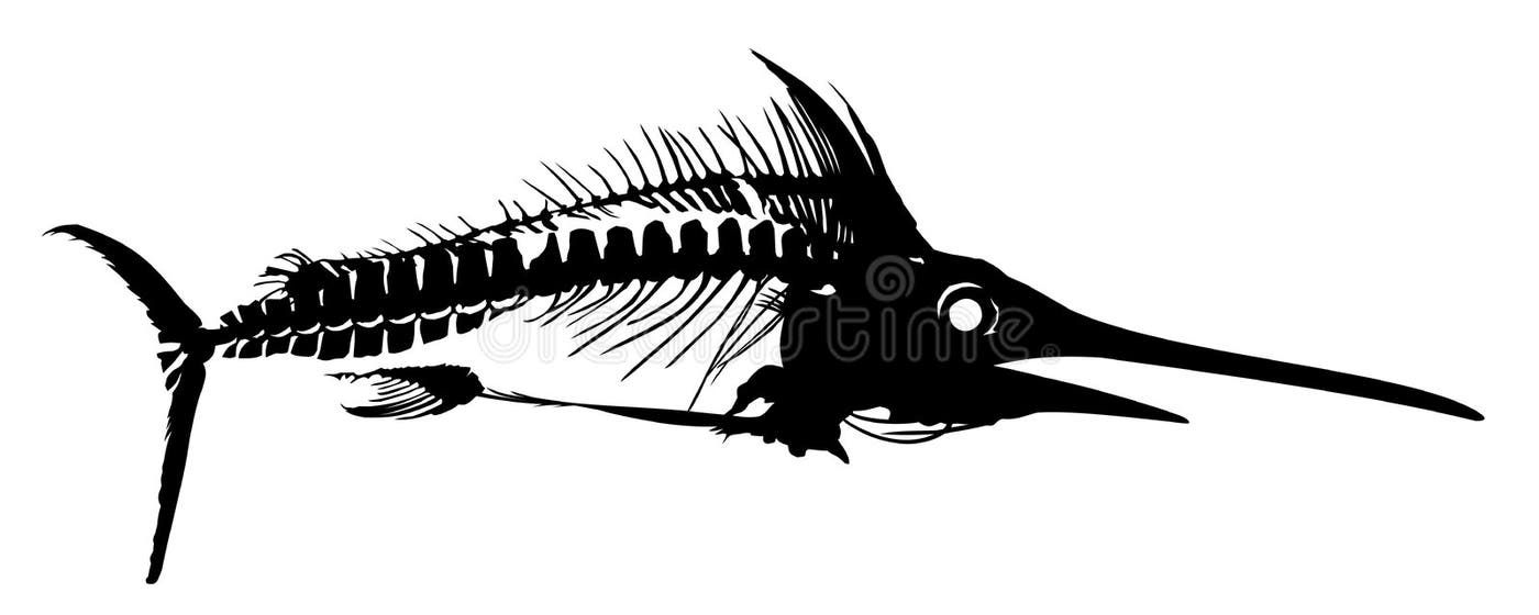 Swordfish Skeleton Stock Illustrations – 20 Swordfish Skeleton Stock ...