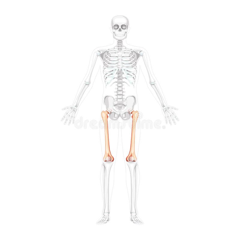 Skeleton Pose Painting by Gregory Dyer - Pixels