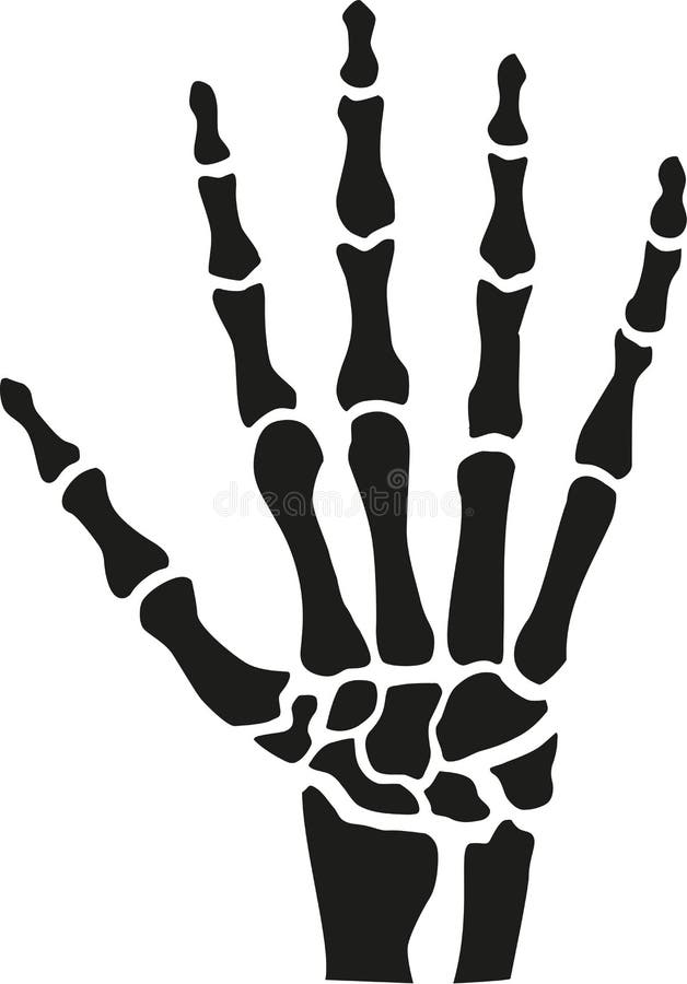 Skeleton Hand Images – Browse 125,412 Stock Photos, Vectors, and Video