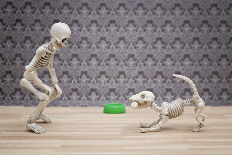 Skeleton and His Skeleton Dog Stock Image Image of skull, death 74439505