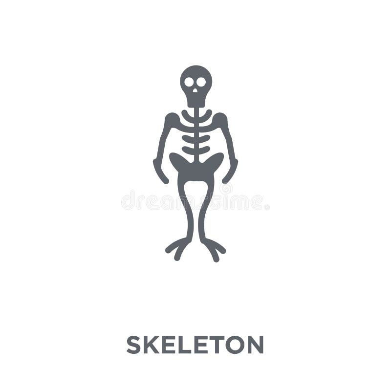 Skeleton Icon From Collection. Stock Vector Illustration of
