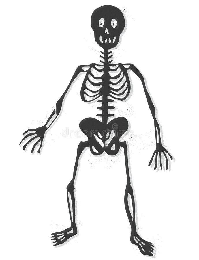 Skeleton Vector Stock Vector Illustration Of Chest Bone