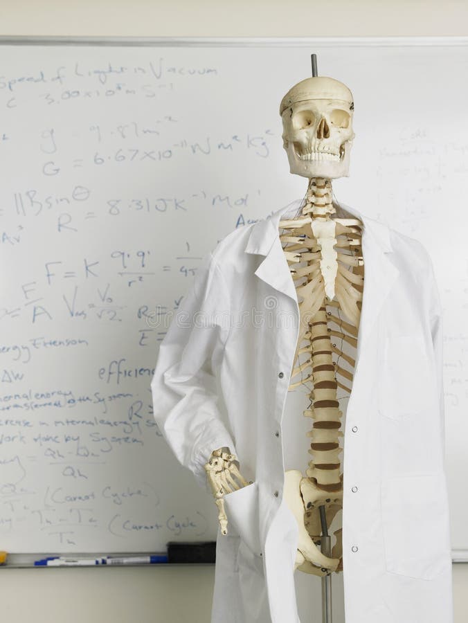 Skeleton in Lab Coat in Front of Whiteboard Stock Photo Image of