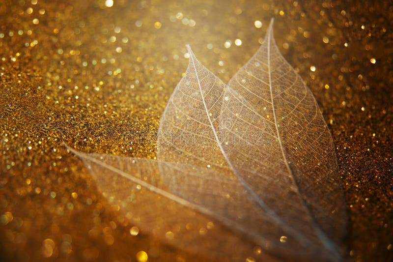 Skeleton leaves on a gold beautiful background. Artistic Macro Photography