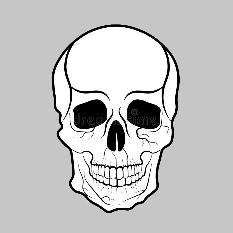 Smiling Skull Holding a Banner for Halloween, Vector Illustration Stock ...