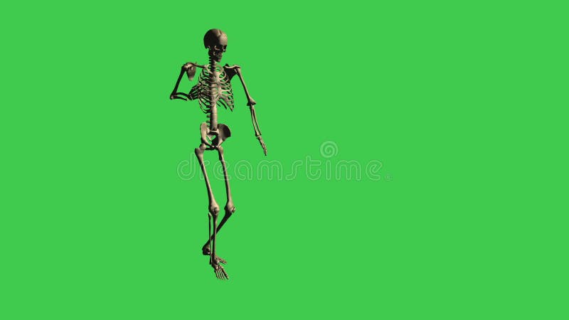 Skeleton Walking Hurt - Separate on Green Screen Stock Video - Video of  cartoon, character: 87552755