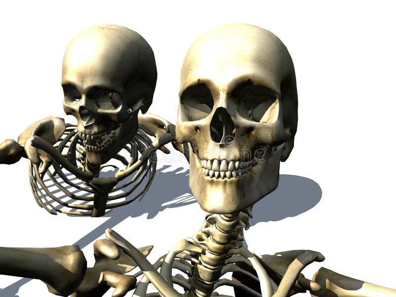 Skeletons 10