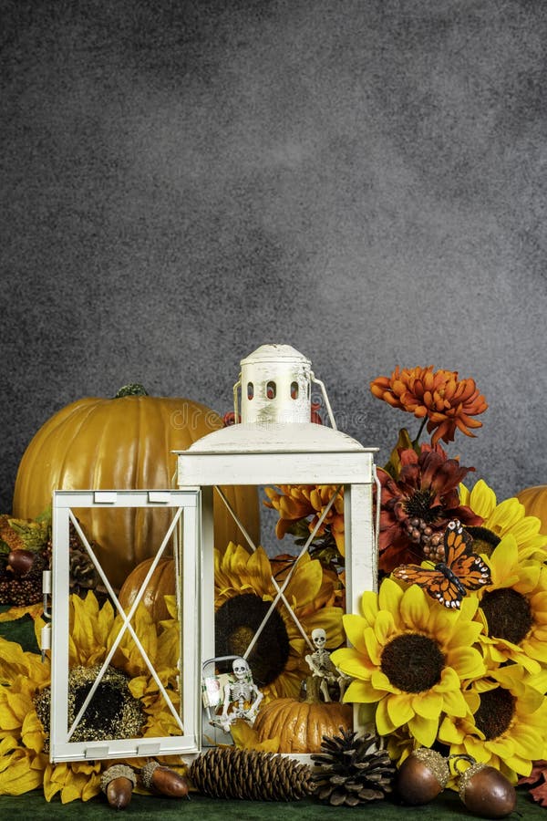 Skelette im Inneren einer Laterne mit Kürbis und Sonnenblumen stockfotografie