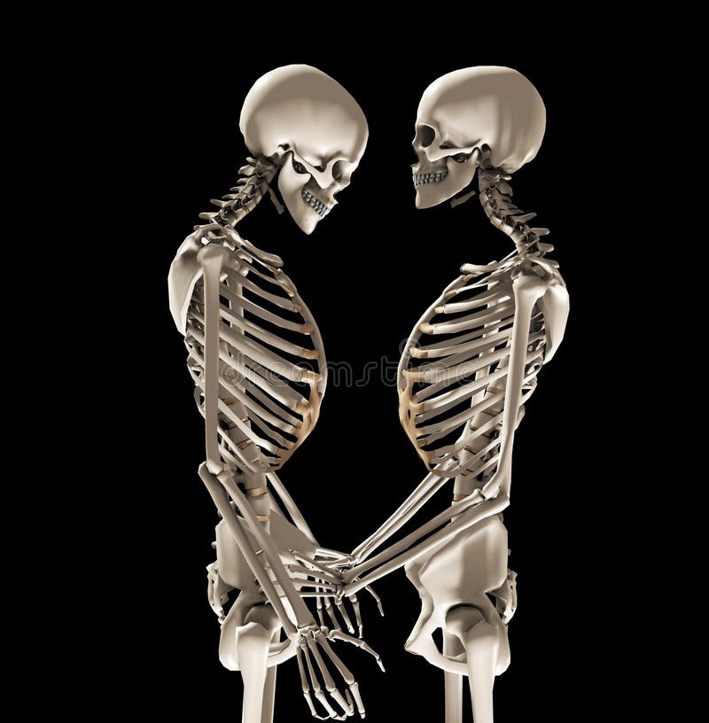 Skeletten in Liefde stock illustratie. Illustratie bestaande uit dopheide  14872374