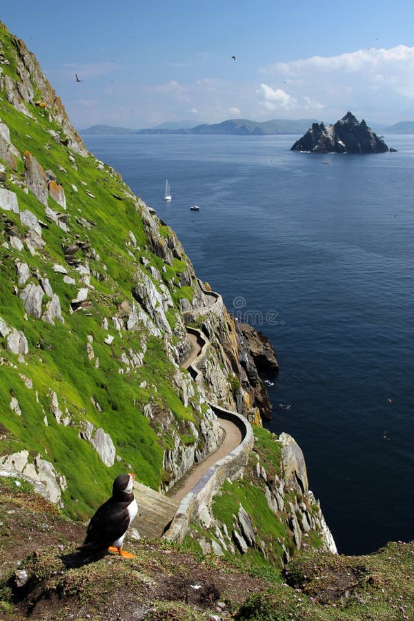 Skellig Islands - Puffin s Eye View, Ireland