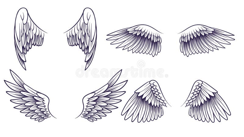 Sketch angel wings. Hand drawn different wings with feathers. Black bird wing silhouette for logo, tattoo or brand