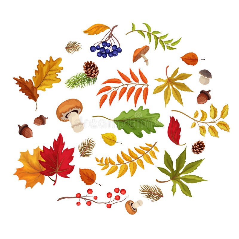 Forest Symbols Stock Illustrations – 5,992 Forest Symbols Stock ...