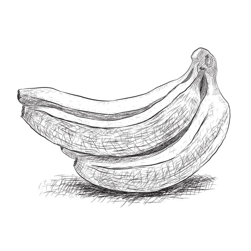 Premium Vector | Banana fruit outline icon, drawing monochrome  illustration. healthy nutrition, organic food, vegetarian product.