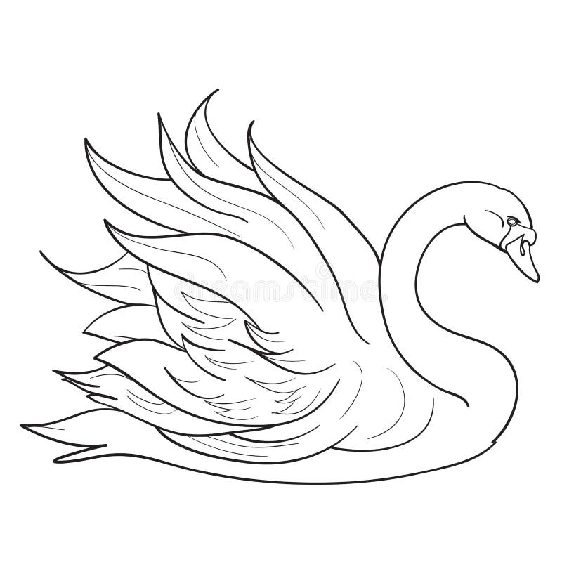Swan Images | Free HD Backgrounds, PNGs, Vectors & Illustrations - rawpixel
