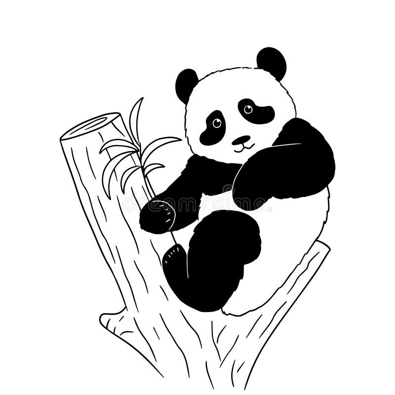 Sketch of a Cartoon Panda on Tree on White Background. Vector Illustration  of Hand Drawn Black and White Panda Stock Vector - Illustration of draft,  object: 143453762
