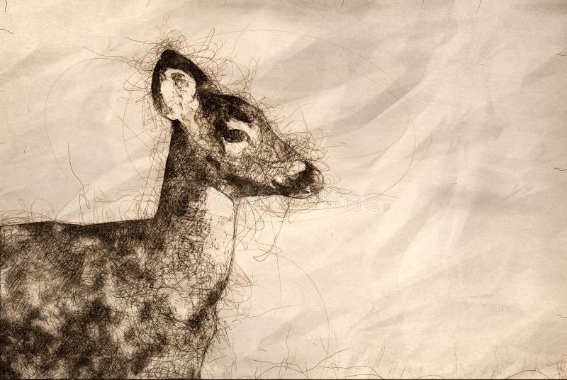 Sketch of a Close Profile of a Deer in the Field royalty free illustration