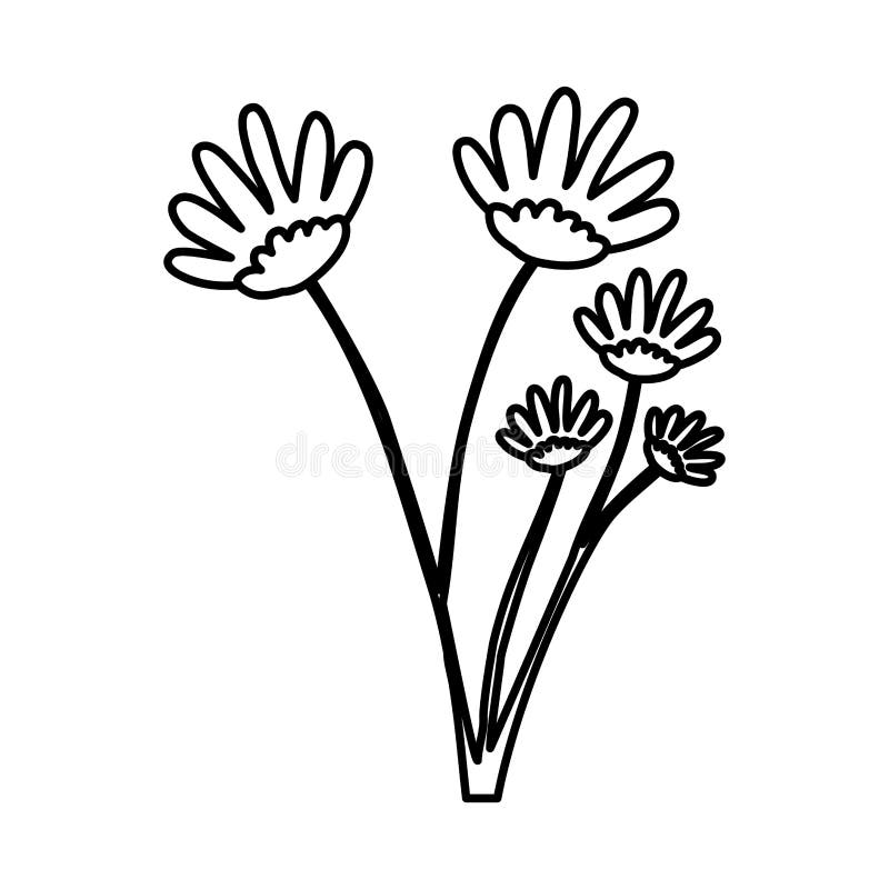 Sketch contour of hand drawing daisy flower with several ramifications