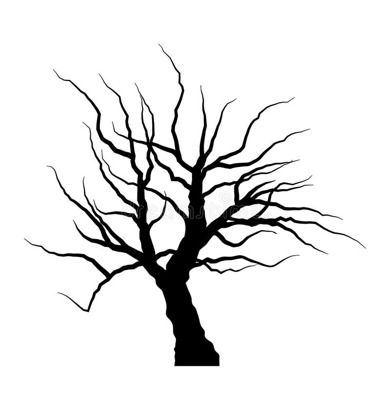 how to draw a tree without leaves