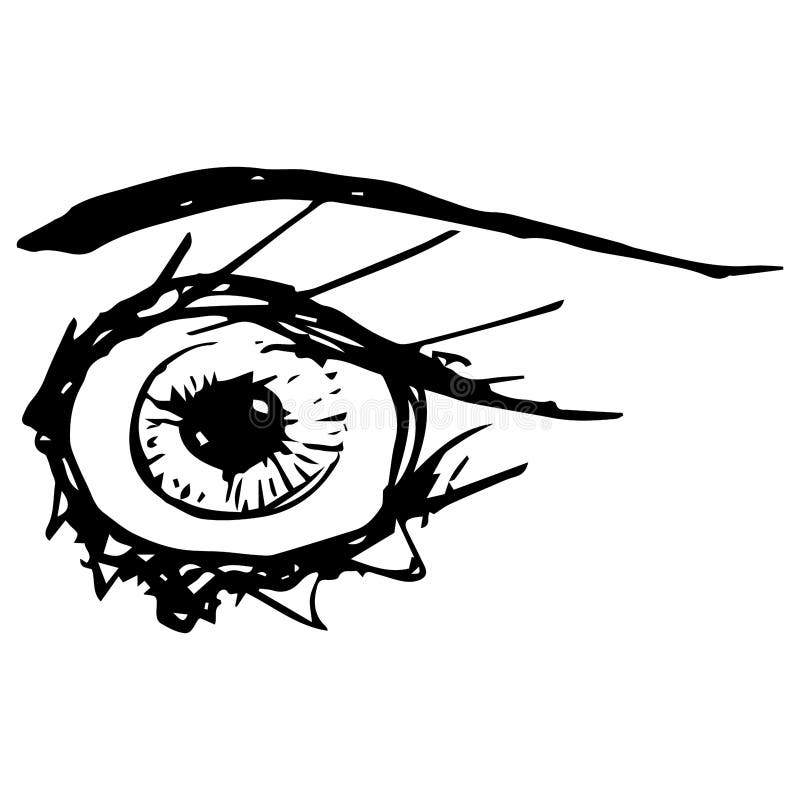 Sketch of the eyes with eyelashes. stock illustration