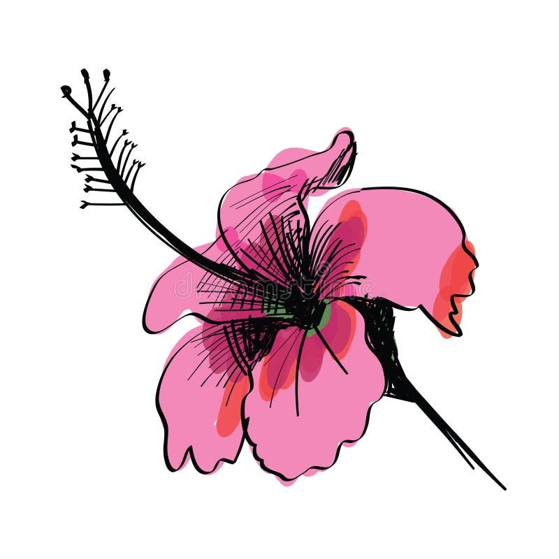 Sketch of flower hand drawn