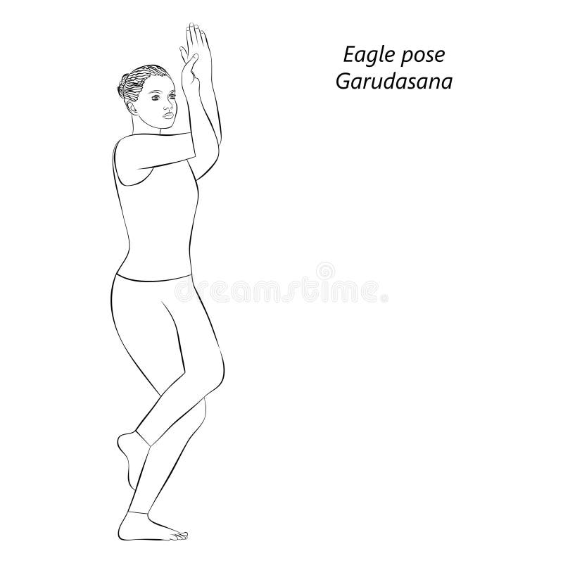 sketch garudasana young woman practicing yoga doing eagle pose standing balancing intermediate isolated vector illustration 288708575