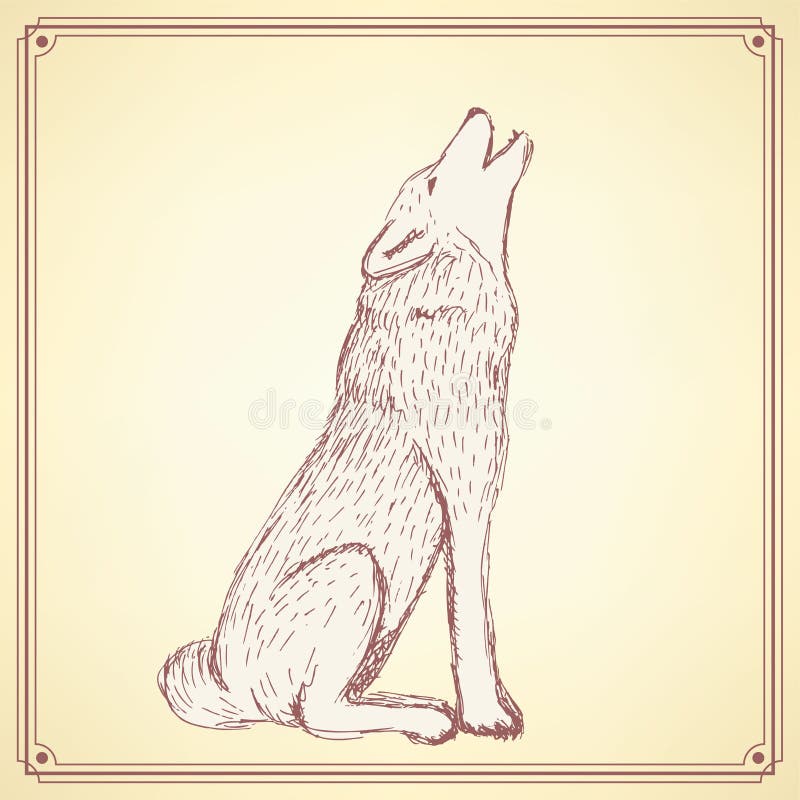 Sketch Howling Wolf in Vintage Style Stock Vector - Illustration