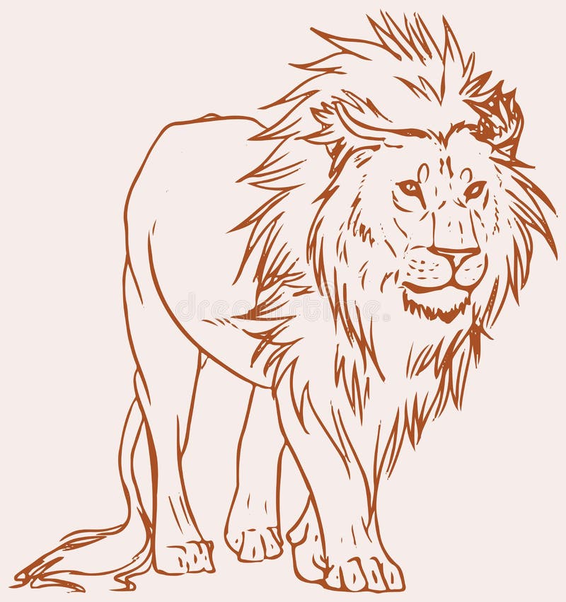 41  How to sketch draw an easy lion cub standing up for Trend 2022