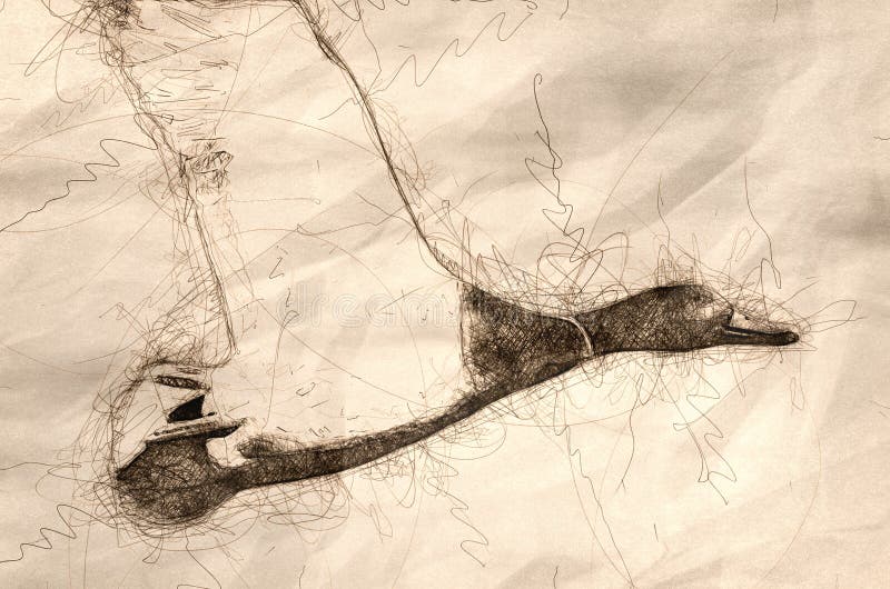 Sketch of a Mallard Duck in Flight stock illustration