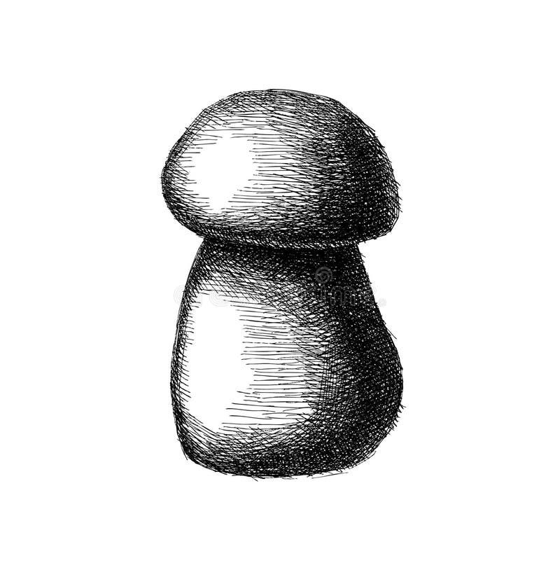 Sketch minimalista di inchiostro bianco e nero di un fungo con ombreggiatura incrociata su fondo bianco semplice illustrazione vettoriale