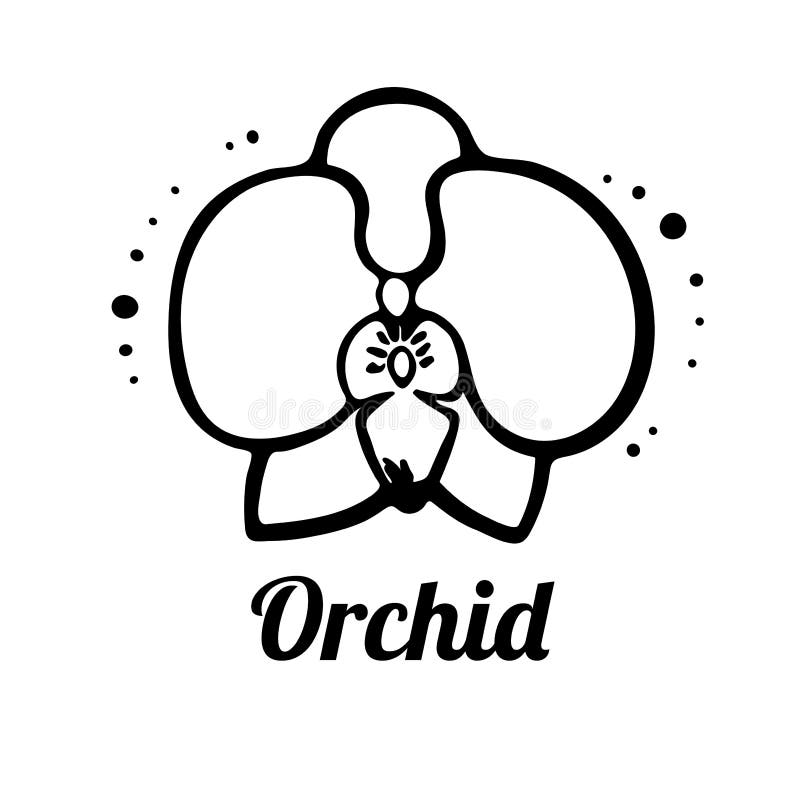 Sketch of an orchid flower. floral logo vector illustration Sketch of an orchid flower. floral logo vector illustration