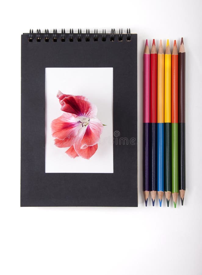 Sketch Pad And Colored Pencils Stock Photo - Download Image Now