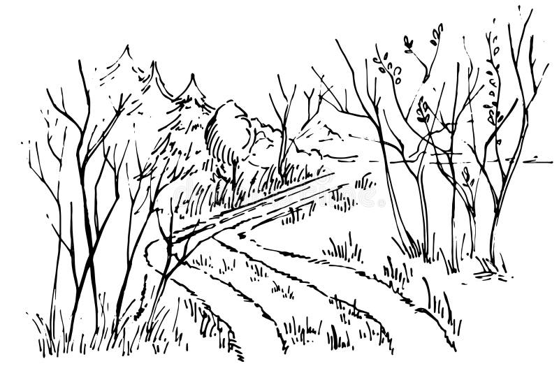 Sketch Path In The Forest Stock Vector Illustration Of Natural Sketch Path In The Forest Stock Vector Illustration Of Natural