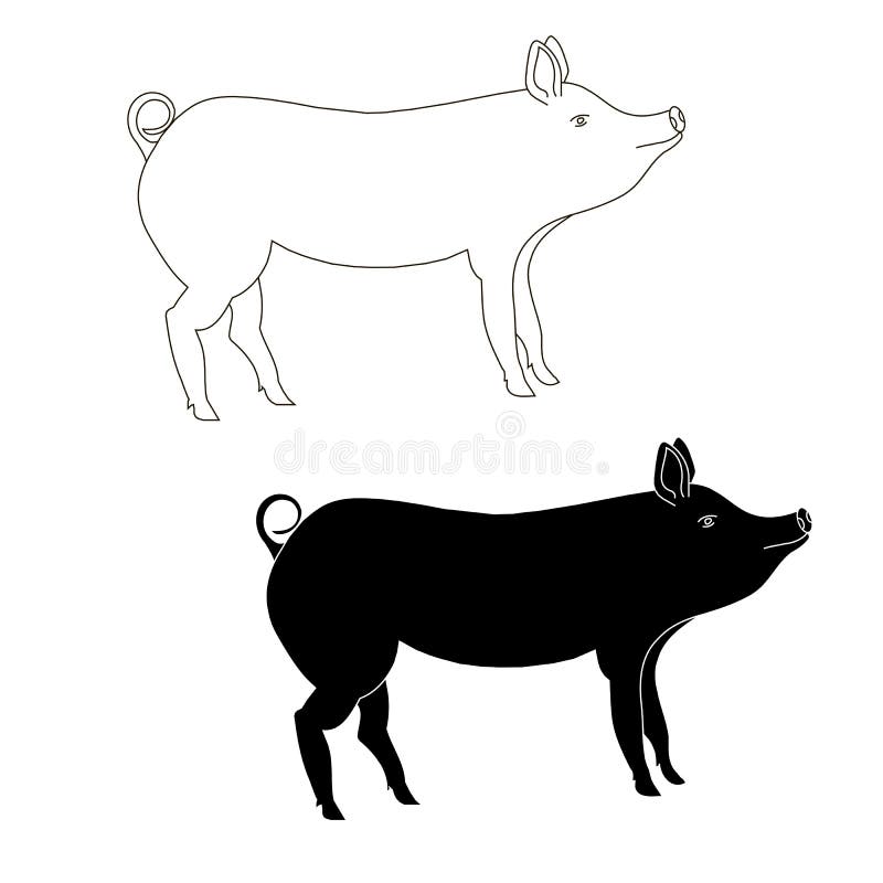 Monochrome Pig Stock Illustrations 931 Monochrome Pig - 