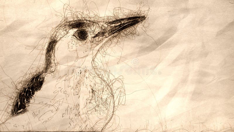 Sketch of the Profile of Curious Red-Bellied Woodpecker in the Tree Branches stock images