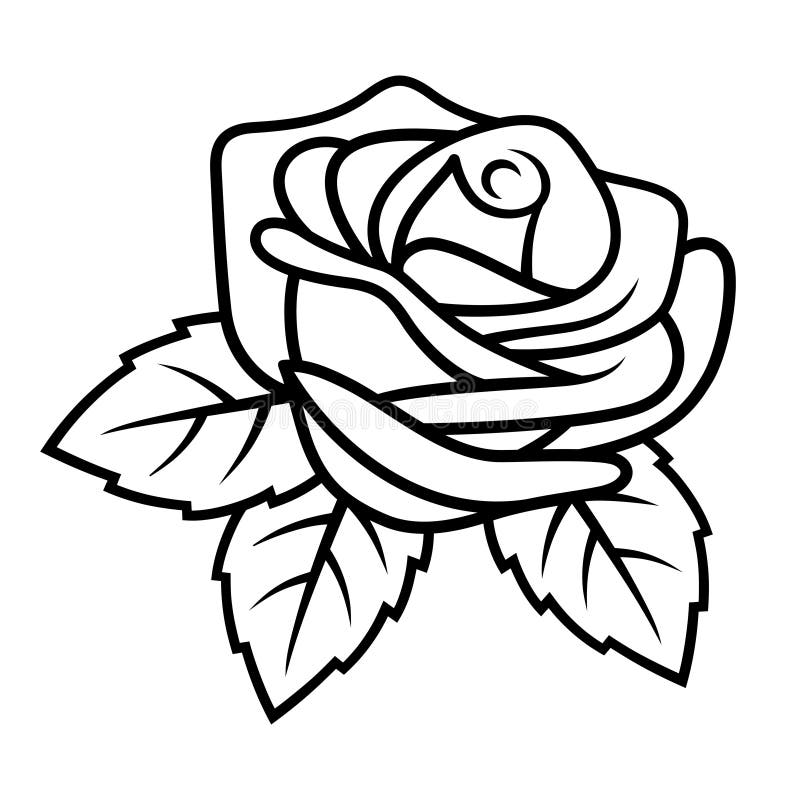 Rose sketch 002