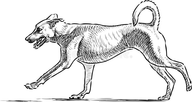 Sketch of a running dog stock vector. Illustration of german - 89716302