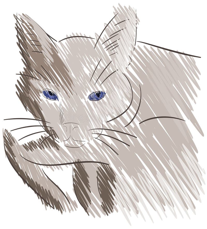 Sketch of a Stylized Isolated Cat Stock Illustration Illustration of