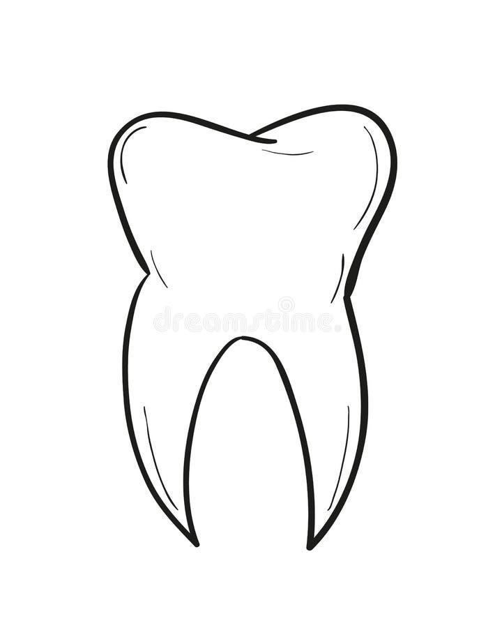 Sketch of the tooth stock illustration