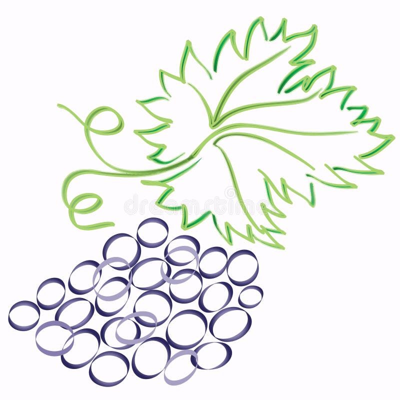 Sketch vector grape