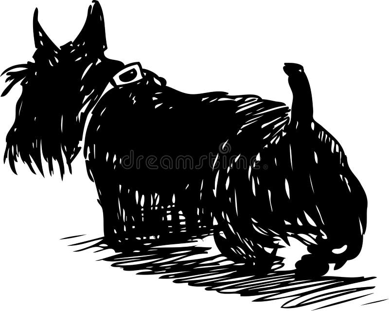 Sketch of a walking scottish terrier
